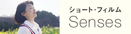 Senses