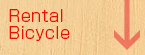 Rental Bicycle